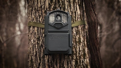 Big Game Eyecon QuickShot Infrared Trail / Game Camera 5MP - image 1 from the video